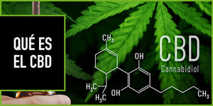 ¿Qué es el CBD?